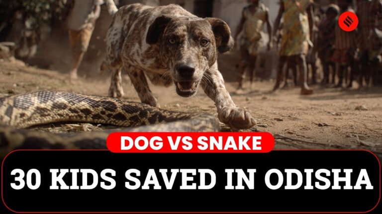 Odisha: Dog Saves 30 Children From Snake Attack | Odisha Dog News